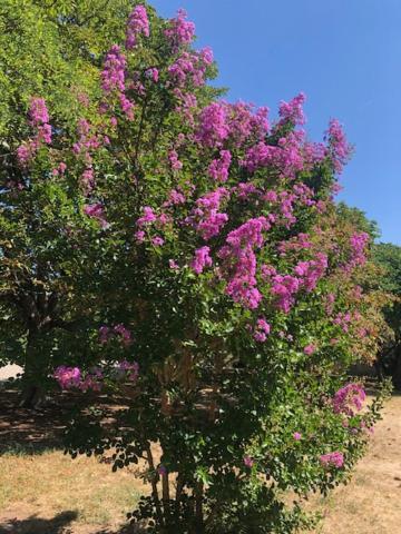 Chateau De Paulignan Trausse ภายนอก รูปภาพ